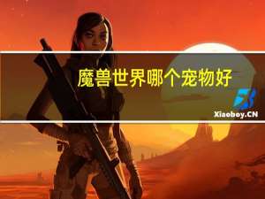 魔兽世界哪个宠物好