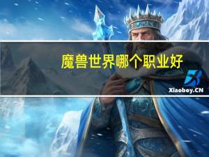魔兽世界哪个职业好