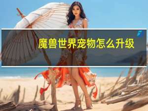 魔兽世界宠物怎么升级