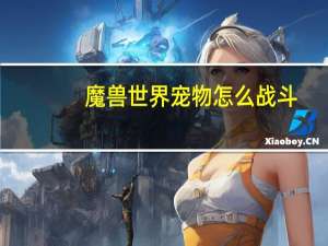 魔兽世界宠物怎么战斗