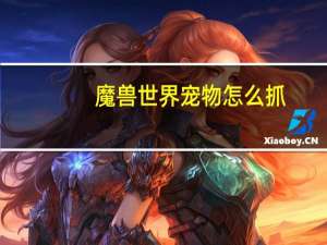 魔兽世界宠物怎么抓