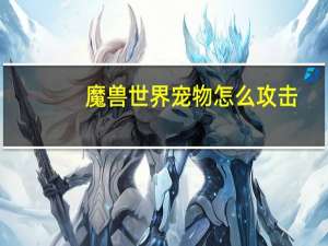 魔兽世界宠物怎么攻击
