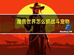 魔兽世界怎么抓战斗宠物