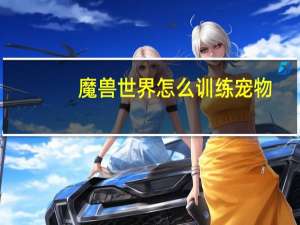 魔兽世界怎么训练宠物