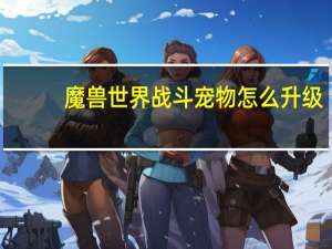 魔兽世界战斗宠物怎么升级