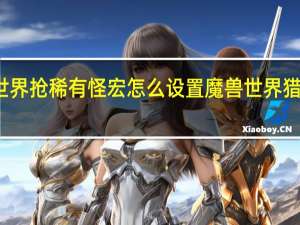 魔兽世界抢稀有怪宏怎么设置 魔兽世界猎人稀有宝宝