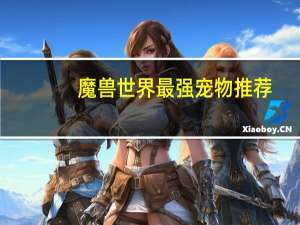 魔兽世界最强宠物推荐