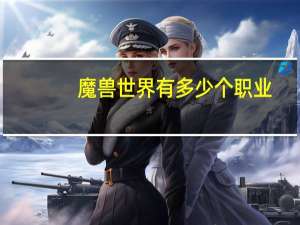 魔兽世界有多少个职业