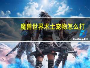 魔兽世界术士宠物怎么打