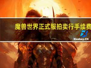 魔兽世界正式服拍卖行手续费（魔兽世界中立拍卖行手续费多少）