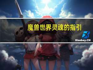 魔兽世界灵魂的指引（魔兽世界灵魂兽插件）