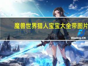 魔兽世界猎人宝宝大全带图片（魔兽世界猎人宝宝大全带图）