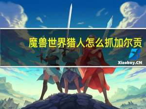 魔兽世界猎人怎么抓加尔贡（魔兽世界猎人怎么抓阿拉尼）