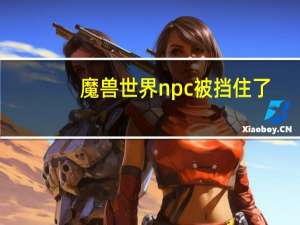 魔兽世界npc被挡住了（魔兽世界npc被挡住）