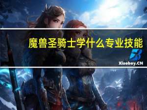 魔兽圣骑士学什么专业技能