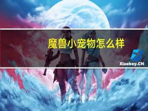魔兽小宠物怎么样
