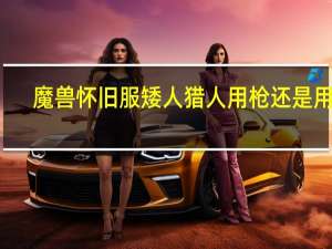 魔兽怀旧服矮人猎人用枪还是用弓