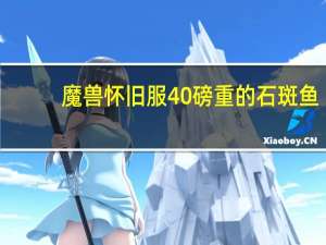 魔兽怀旧服40磅重的石斑鱼（40磅重的石斑鱼有什么用）