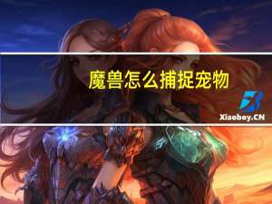 魔兽怎么捕捉宠物