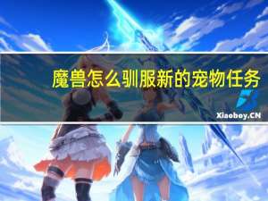 魔兽怎么驯服新的宠物任务