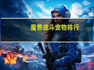 魔兽战斗宠物排行