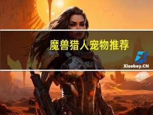 魔兽猎人宠物推荐