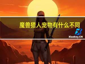魔兽猎人宠物有什么不同