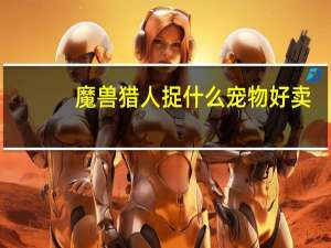 魔兽猎人捉什么宠物好卖