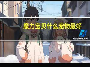 魔力宝贝什么宠物最好