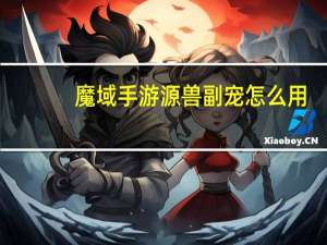 魔域手游源兽副宠怎么用