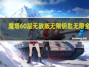 魔塔60层无敌版无限钥匙无限金币