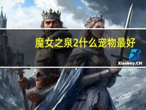 魔女之泉2什么宠物最好