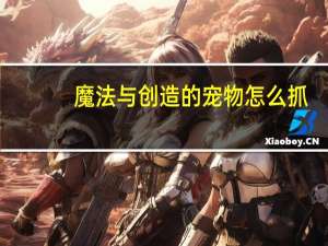 魔法与创造的宠物怎么抓