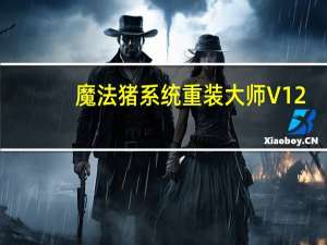 魔法猪系统重装大师 V12.7.48.1940 绿色免费版（魔法猪系统重装大师 V12.7.48.1940 绿色免费版功能简介）