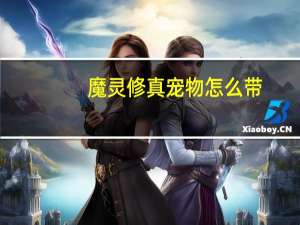 魔灵修真宠物怎么带