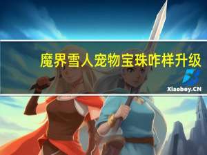 魔界雪人宠物宝珠咋样升级