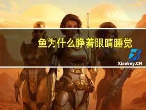 鱼为什么睁着眼睛睡觉