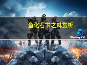 鱼化石卞之琳赏析（鱼化石卞之琳）