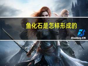 鱼化石是怎样形成的