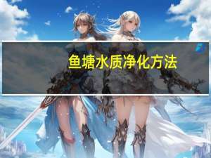 鱼塘水质净化方法