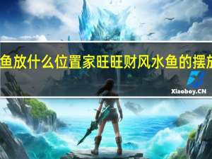 鱼放什么位置家旺 旺财风水鱼的摆放讲究
