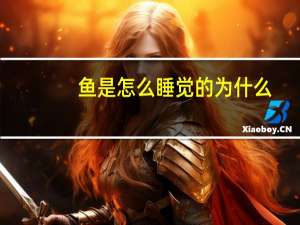 鱼是怎么睡觉的为什么？