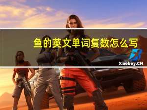 鱼的英文单词复数怎么写