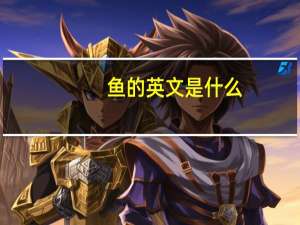 鱼的英文是什么