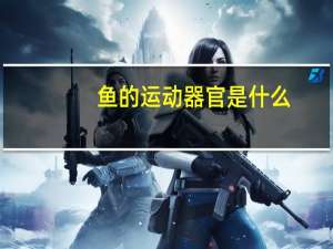 鱼的运动器官是什么