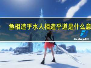 鱼相造乎水人相造乎道是什么意思