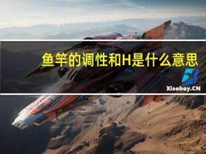 鱼竿的调性和H是什么意思