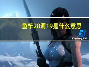 鱼竿28调19是什么意思（鱼杆19调28是什么意思）