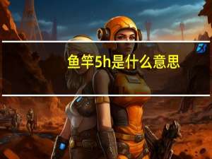 鱼竿5h是什么意思
