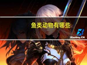 鱼类动物有哪些
